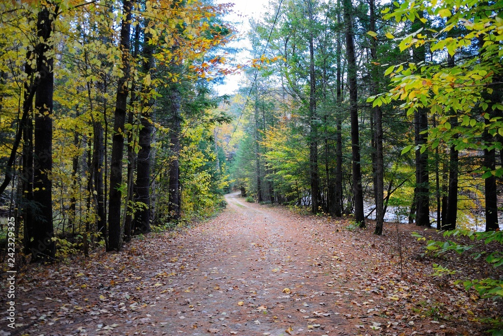Fototapeta premium The Mohawk Trail through The Berkshire Hills (Massachusetts, USA) in autumn