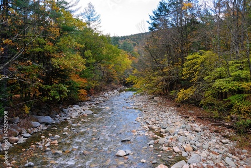 Slika na platnu The Mohawk Trail through The Berkshire Hills (Massachusetts, USA) in autumn