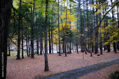 The Mohawk Trail through The Berkshire Hills (Massachusetts, USA) in autumn photo