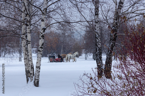 Принти на полотні Three horses drawn in a sleigh