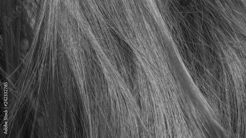 black and white hair texture background 