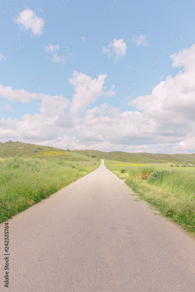 Infinite road with green fields Infinite road with green fields