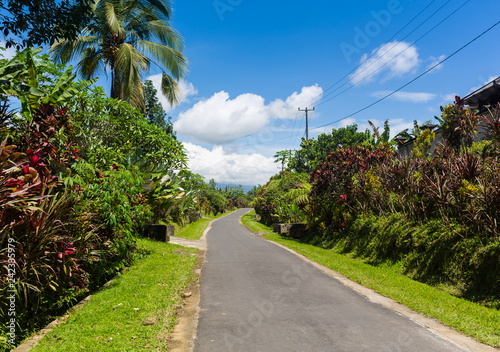 Seychelles. The road to palm jungle. Tropical Paradise.