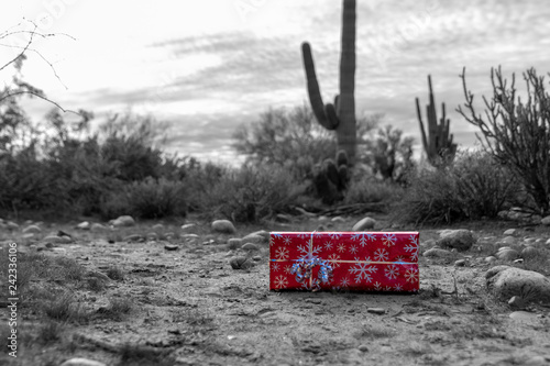 Christmas present in the Arizona desert photo