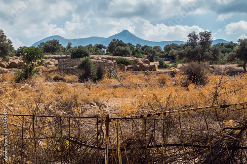 Landscape with farm and sheaf of hay on Northern Cyprus