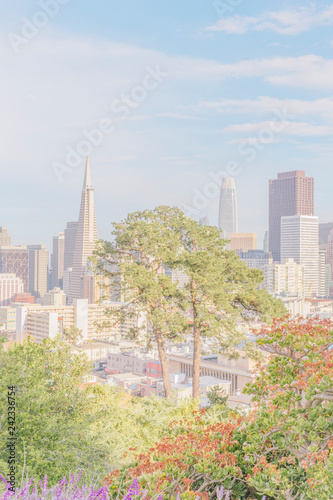 San Francisco Downtown view