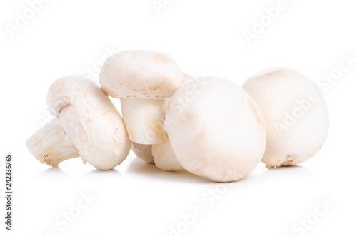 Champignon mushrooms on a white background isolation