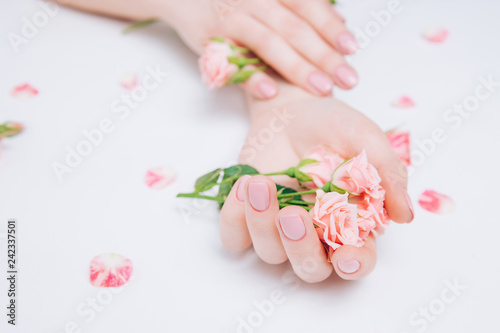 Beautiful tender female hands with pink flowers on a white background, classic manicure. Concept skin cream, winter care.