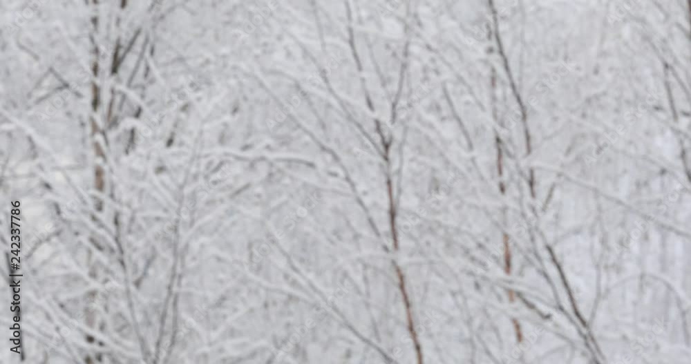 Snow falls and swirls Snow falls and swirls