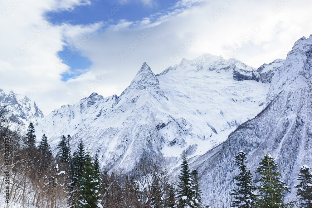 Snow-capped peaks of the Caucasus mountains envelop the white clouds. In the foreground - mixed forest Snow-capped peaks of the Caucasus mountains envelop the white clouds. In the foreground - mixed forest