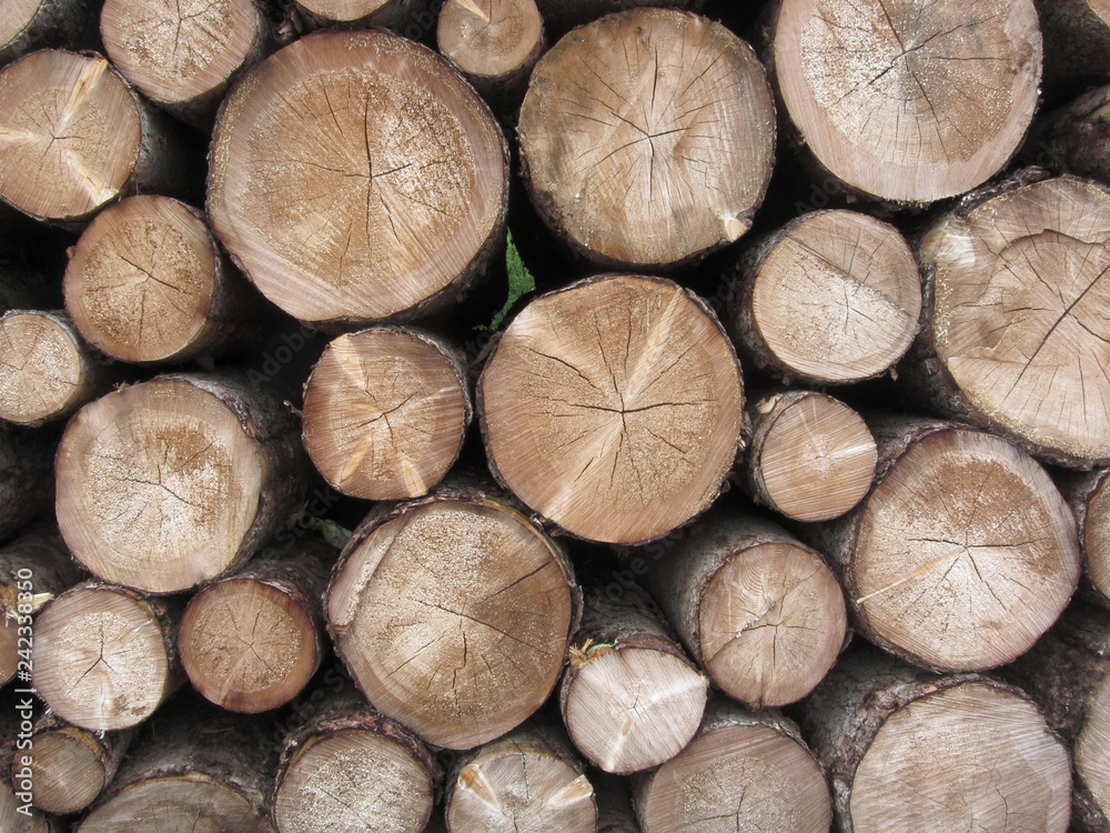 Firewood pile stacked . Woodpile of round logs . Chopped wood trunks as background Firewood pile stacked . Woodpile of round logs . Chopped wood trunks as background