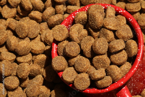 Close up of dog pellets or kibbles in a measuring mug. photo