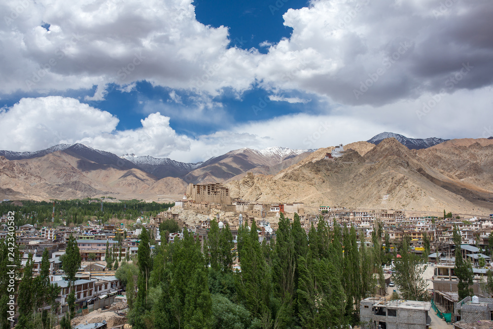 Obraz premium Beautiful view of Leh city and green Indus valley with the Leh palace in the middle, Jammu and Kashmir, India.