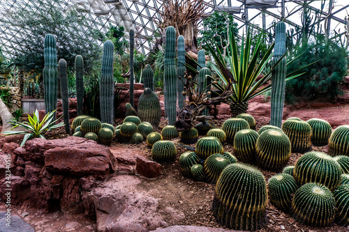 China Shanghai Botanical Garden Greenhouse 14
