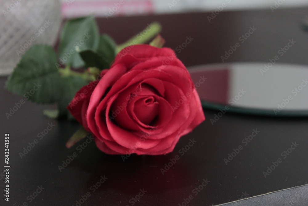 Fototapeta premium Rosa