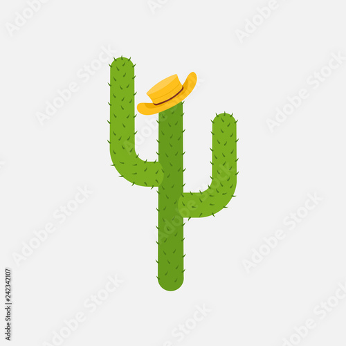 cactus in a slag, Mexican style, Mexican desert succulent plant