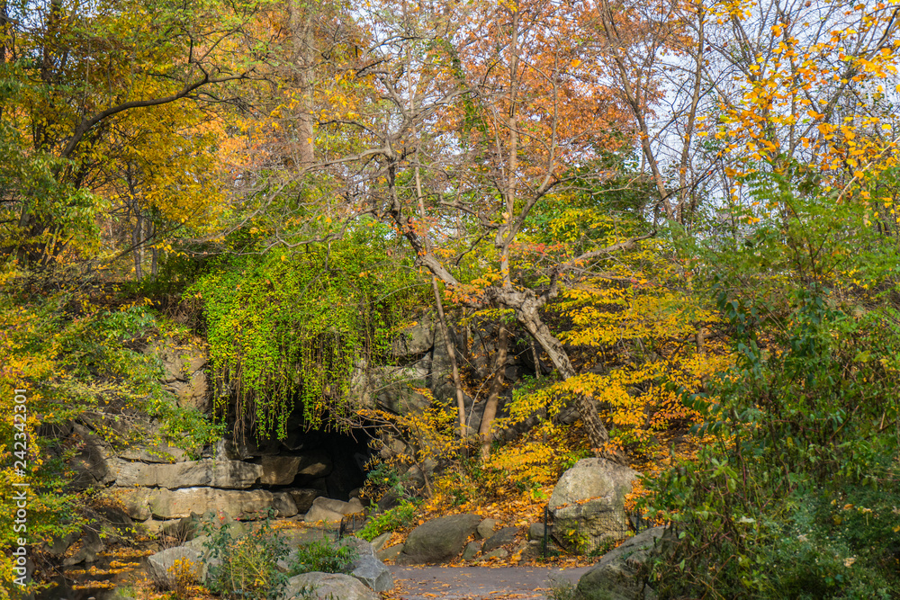 autumn in the park autumn in the park