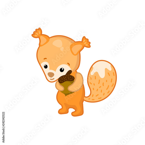 Lovely squirrel vector illustration on white background. Woodland animal icon. Cute orange squirrel clip art.