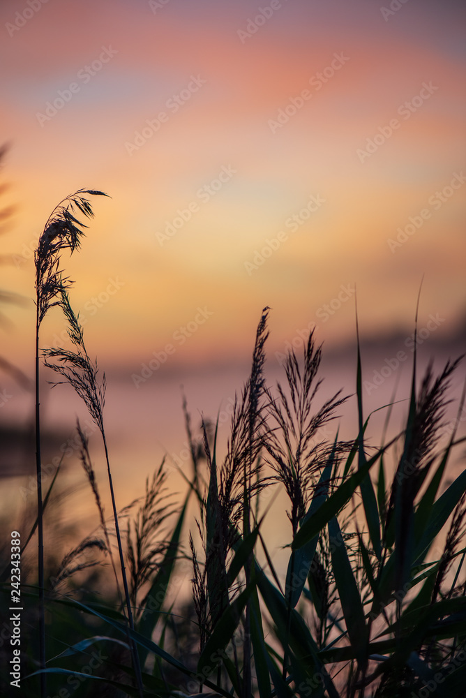 colorful misty sunset on the river in summer colorful misty sunset on the river in summer