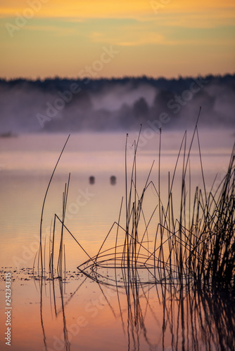 colorful misty sunset on the river in summer