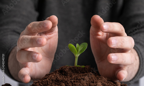 ecology plant