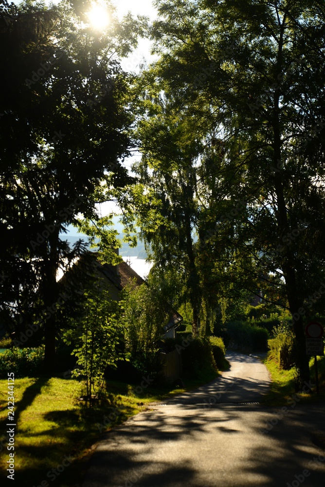 Obraz premium sunset in the park