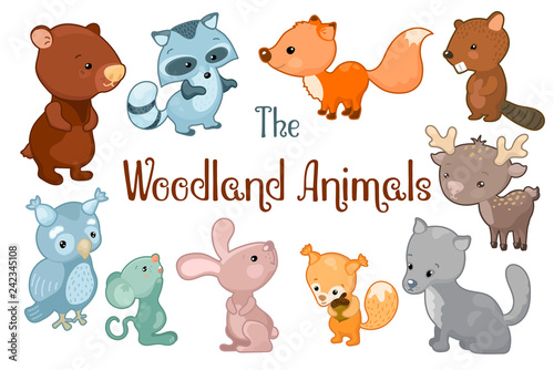 Wallpaper Mural Woodland animals vector clipart on white background. Cute vector illustrations of bear, beaver, fox, rabbit, deer. Torontodigital.ca