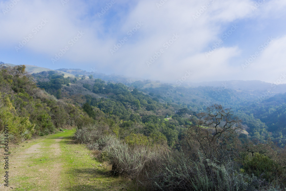 Green path and retreating fog, Sierra Vista Open Space Preserve, south San Francisco bay, California