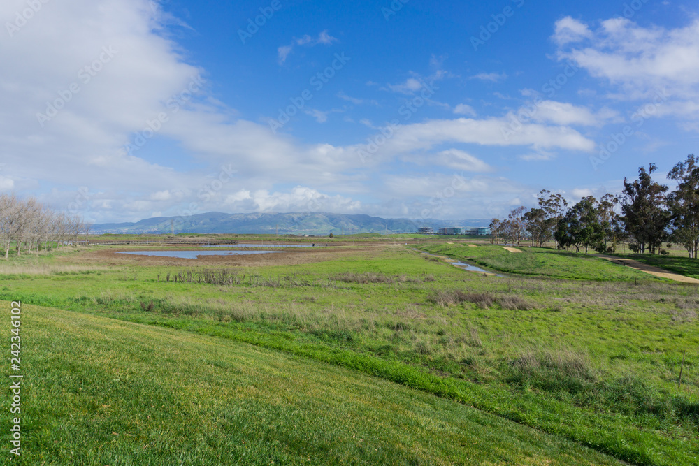 Meadow in Sunnyvale Baylands Park; view towards Mission Peak, south San Francisco bay, California