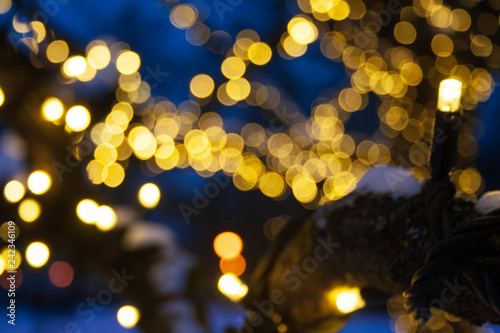 Abstract background yellow bokeh lights, branches of a tree in winter with blue sky and snow, natural landscape, warm feeling, warmth 