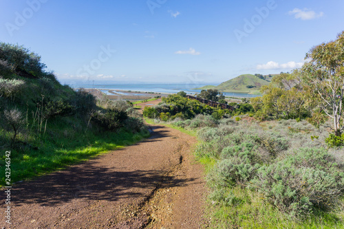 Trail in Don Edwards wildlife refuge, Dumbarton bridge and Coyote Hills Regional Park in the background, Fremont, San Francisco bay area, California