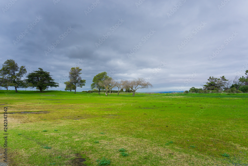Meadow on a cloudy day, Shoreline Park, Mountain View, California