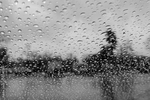 Drops of rain on the window; blurred trees in the background; shallow depth of field; black and white