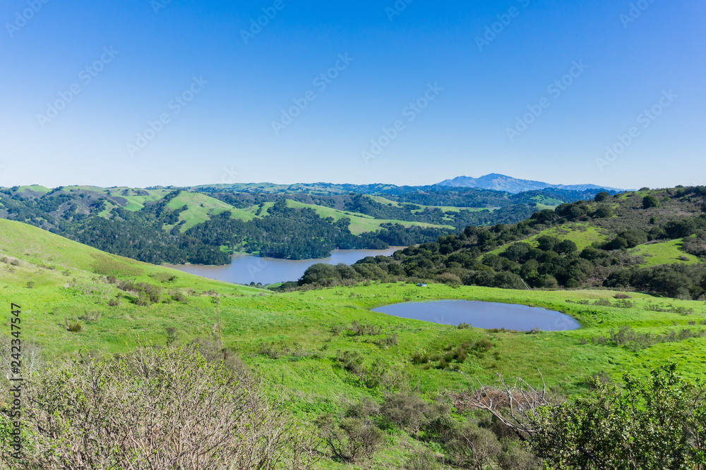Hills and meadows in Wildcat Canyon Regional Park; San Pablo Reservoir; Mount Diablo in the background, east San Francisco bay, Contra Costa county, California