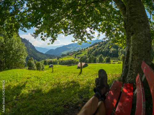 Bench under a tree on a hill. Mountain village at background. Switzerland summer landscape photo