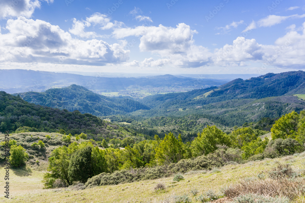 Fototapeta premium View towards Sonoma Valley, Sugarloaf Ridge State Park, Sonoma County, California