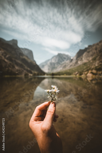 Flowers at a mountain lake