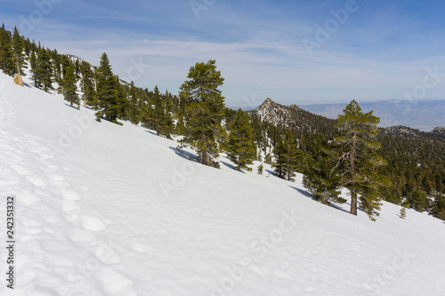 Snowy landscape on the trail to Mount San Jacinto peak, California