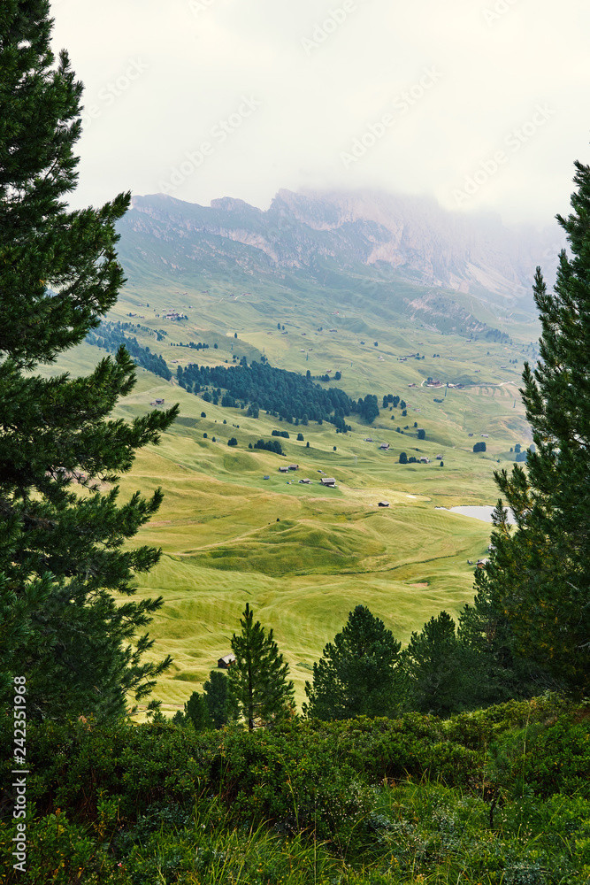 Fototapeta premium Val Gardena mountains valley with green grass
