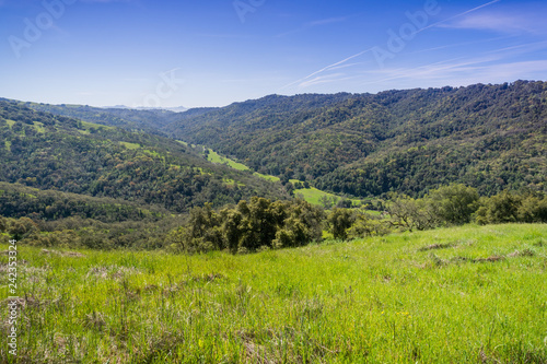 View towards Hunting Hollow valley, Henry Coe state park, California photo