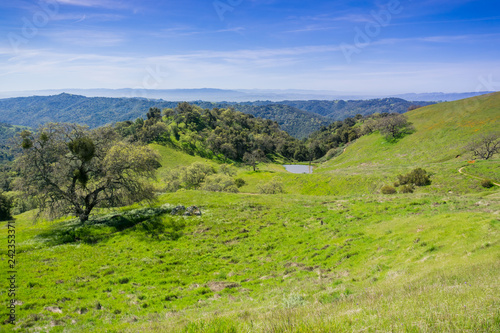 Verdant hills and valleys in Henry Coe state park, California