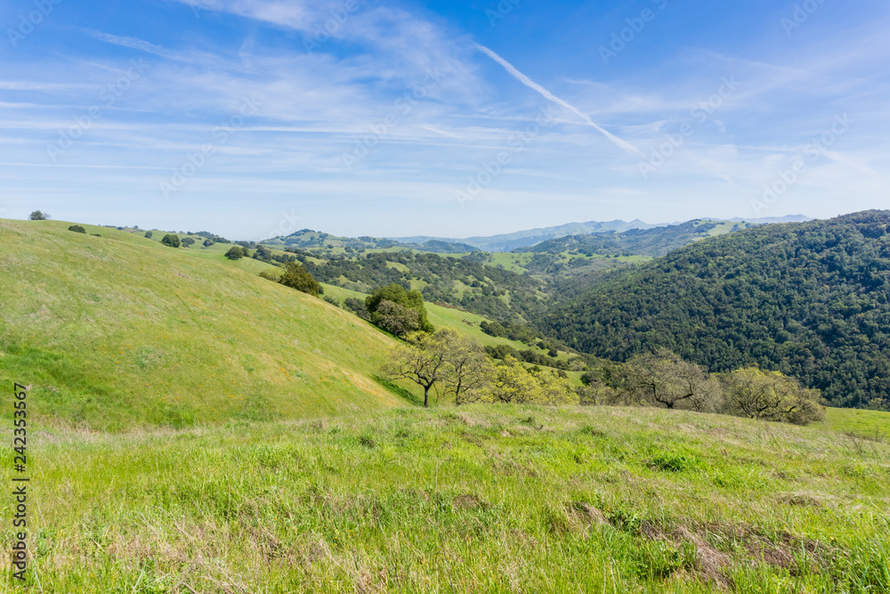 View towards Hunting Hollow valley, Henry Coe state park, California