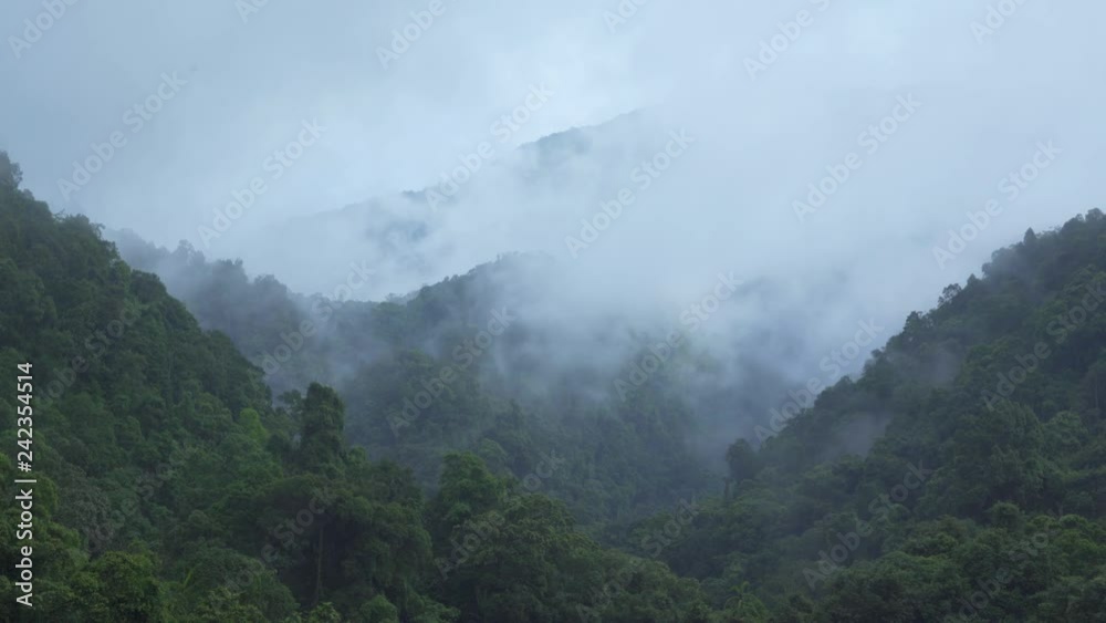 Time lapse of beautiful landscape of mountain slope with forest and moving fog. Shot in 4k resolution Time lapse of beautiful landscape of mountain slope with forest and moving fog. Shot in 4k resolution