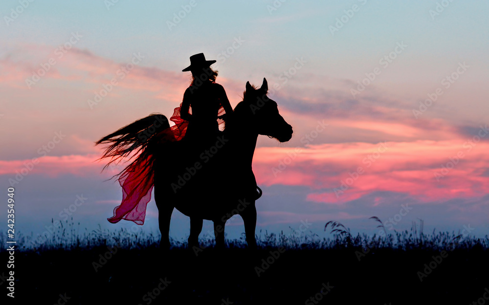 Lady in English dress with mantle, tall hat riding horse on sunset background. Fantasy equestrian female rider in English style on landscape.