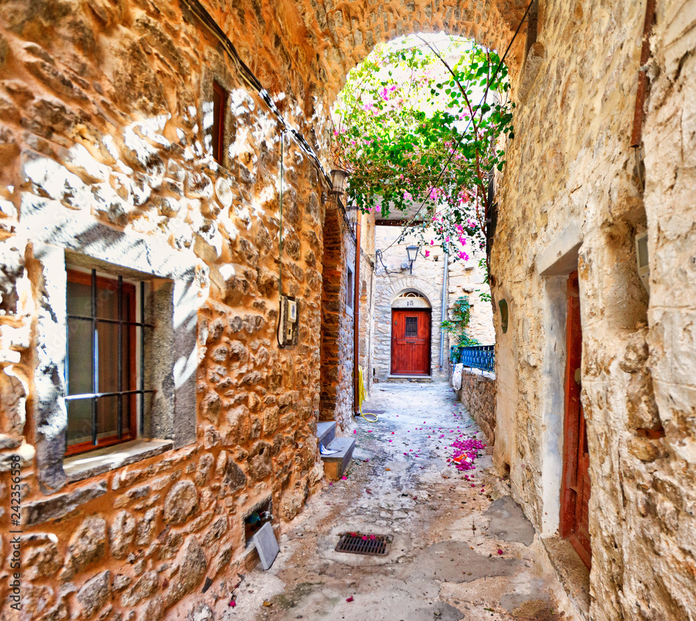 Fototapeta Tradycyjni domy w Mesta Chios, Grecja