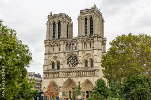 summertime at Notre dame cathedral in Paris