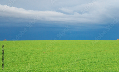 Beautiful landscape: view of green field and skyline