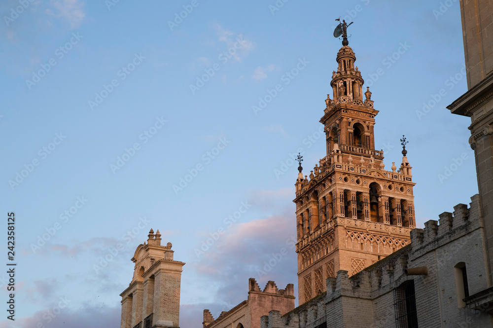 Seville cathedral Giralda