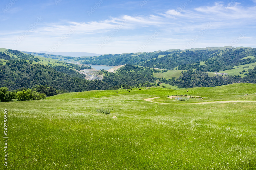 View towards Calaveras Reservoir, Sunol Regional Wilderness, San Francisco bay area, California