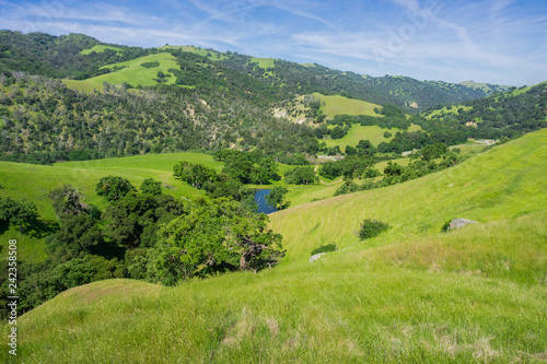 Verdant hills in Sunol Regional Wilderness, San Francisco bay area, California